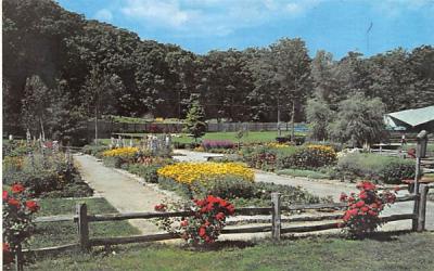 Sterling Forest Gardens Tuxedo Park, New York Postcard