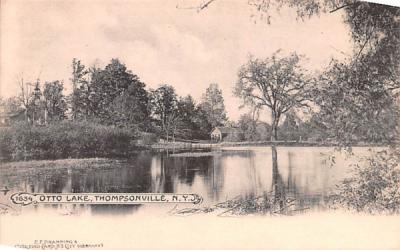Otto Lake Thompsonville, New York Postcard