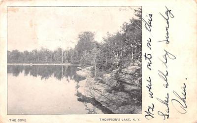 The Cove Thompson's Lake, New York Postcard