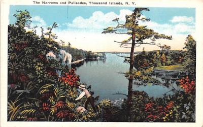 The Narrows & Palisades Thousand Islands, New York Postcard