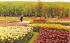 Sterling Forest Gardens Tuxedo, New York Postcard