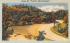 Along the Taconic State Parkway Taconic Lake, New York Postcard