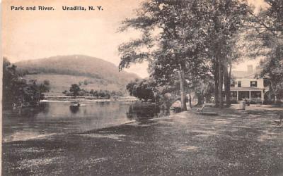 Park & River Unadilla, New York Postcard