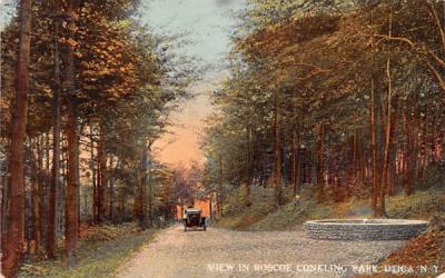 Roscoe Conkling Park Utica, New York Postcard