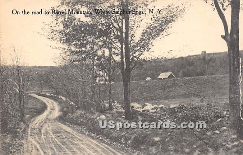 On the Road to Barrel Mountain - White Sulphur Springs, New York NY Postcard