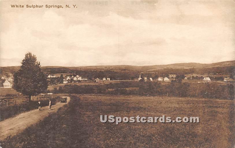 Birds Eye View - White Sulphur Springs, New York NY Postcard