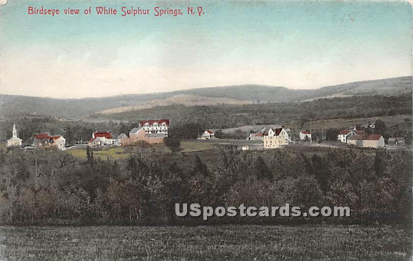 Birds Eye View - White Sulphur Springs, New York NY Postcard