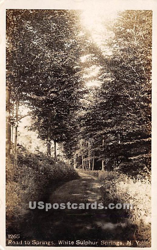 Road to Springs - White Sulphur Springs, New York NY Postcard