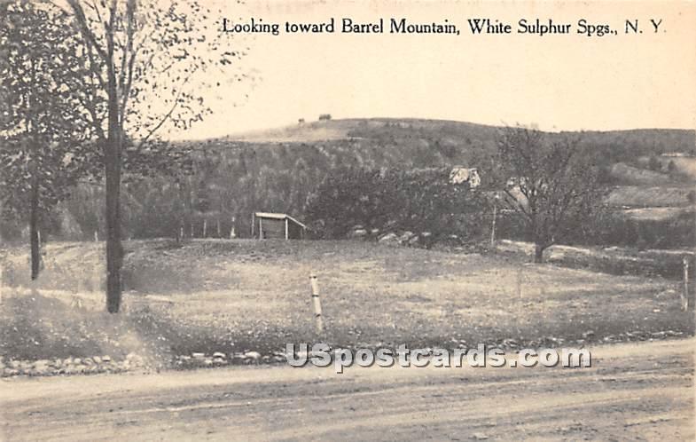 Looking toward Barrel Mountain - White Sulphur Springs, New York NY Postcard