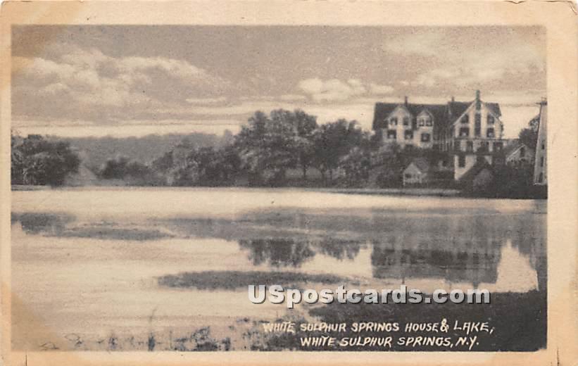 White Sulphur Springs House - New York NY Postcard