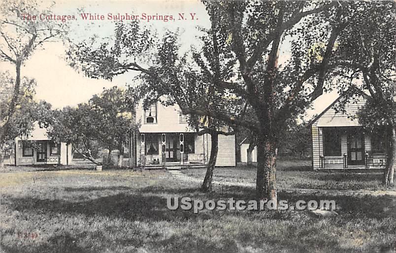 The Cottages - White Sulphur Springs, New York NY Postcard