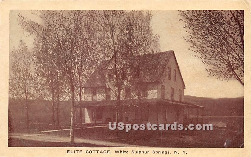 Elite Cottage - White Sulphur Springs, New York NY Postcard