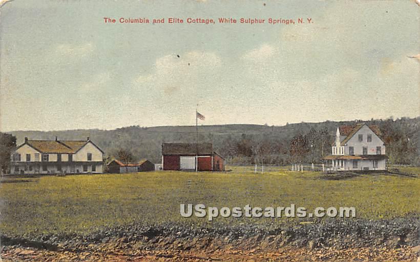 The Columbia and Elite Cottages - White Sulphur Springs, New York NY Postcard
