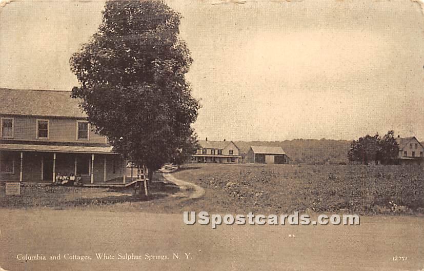 Columbia and Cottages - White Sulphur Springs, New York NY Postcard