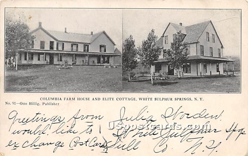 Columbia Farm House - White Sulphur Springs, New York NY Postcard