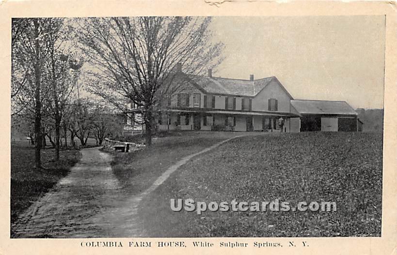 Columbia Farm House - White Sulphur Springs, New York NY Postcard
