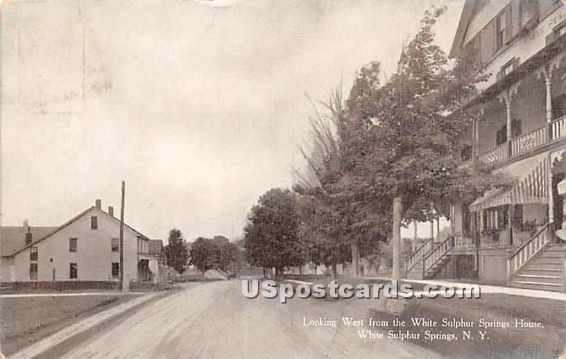 Looking West from White Sulphur Springs House - New York NY Postcard