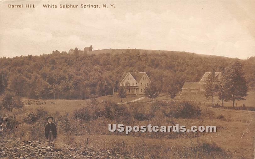 Barrel Hill - White Sulphur Springs, New York NY Postcard