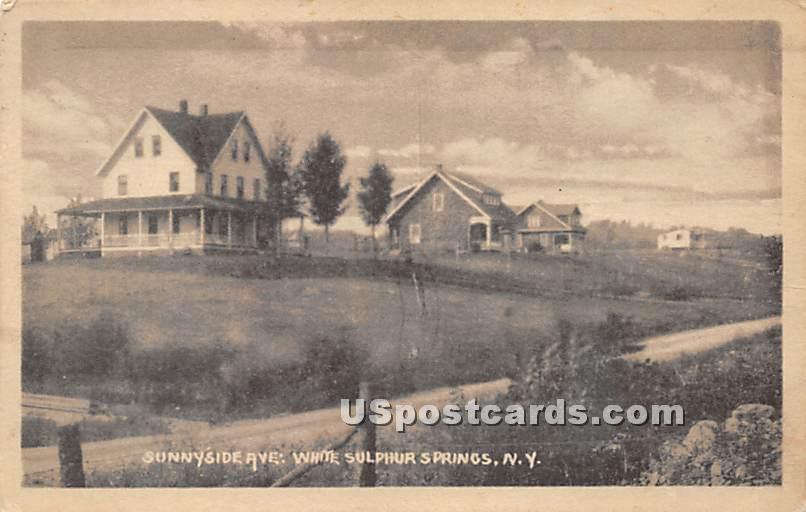 Sunnyside Avenue - White Sulphur Springs, New York NY Postcard