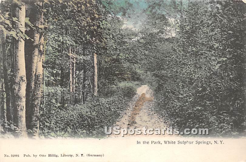 In the Park - White Sulphur Springs, New York NY Postcard