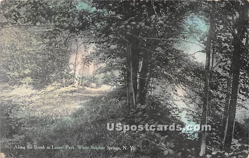 Along the Brook - White Sulphur Springs, New York NY Postcard