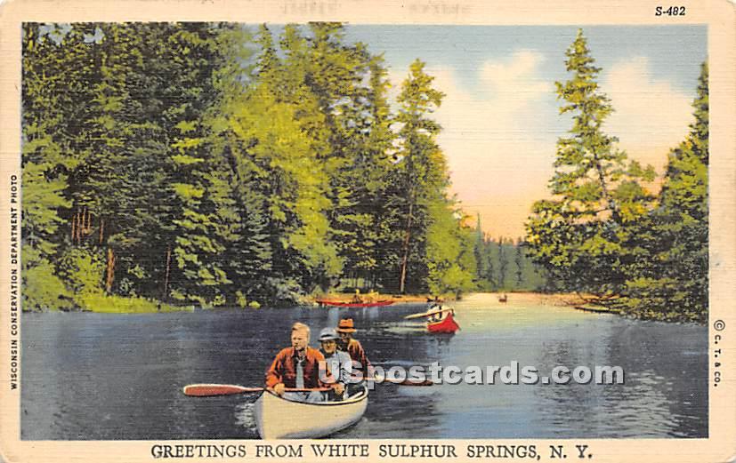 Greetings from - White Sulphur Springs, New York NY Postcard