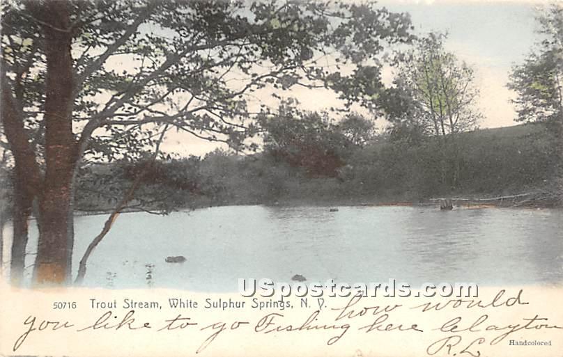 Trout Stream - White Sulphur Springs, New York NY Postcard