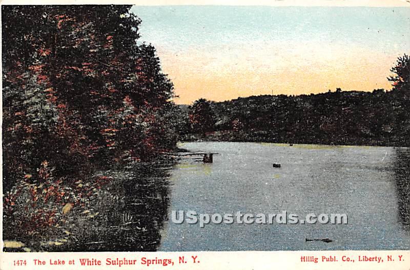 The Lake - White Sulphur Springs, New York NY Postcard
