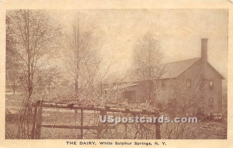 The Dairy - White Sulphur Springs, New York NY Postcard