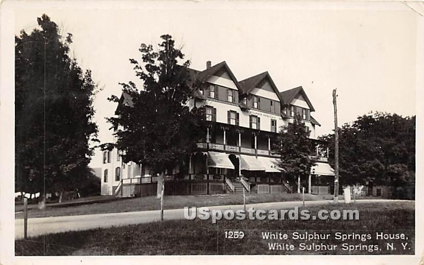 White Sulphur Springs House - New York NY Postcard