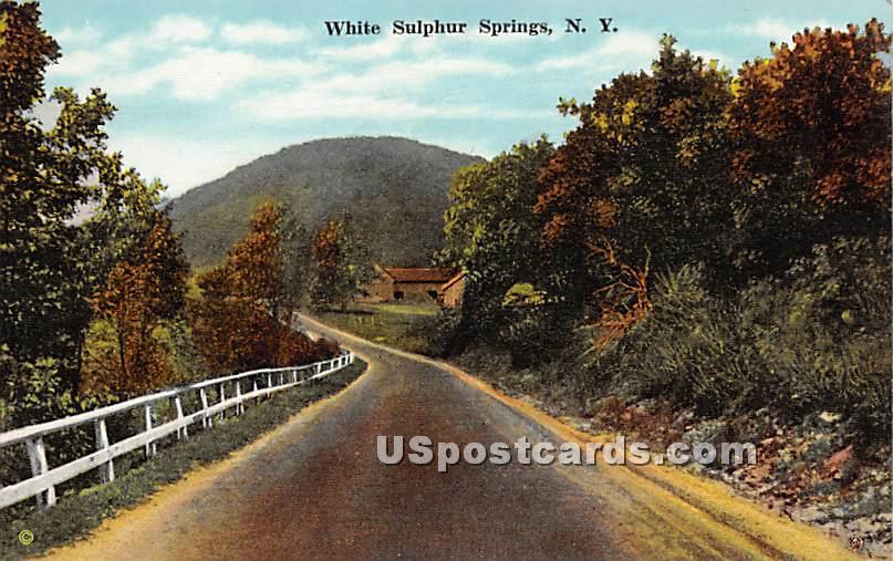 Road Scene - White Sulphur Springs, New York NY Postcard