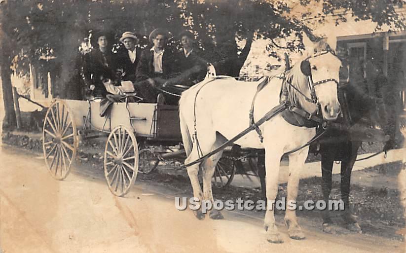 Horse and Carriage - White Sulphur Springs, New York NY Postcard