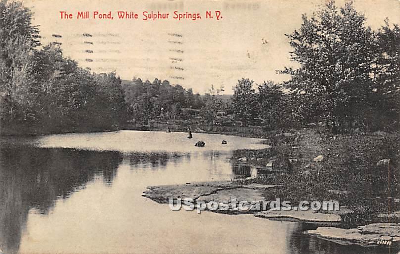 The Mill Pond - White Sulphur Springs, New York NY Postcard