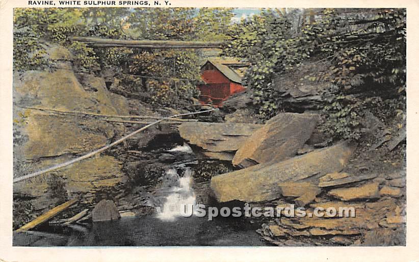 Ravine - White Sulphur Springs, New York NY Postcard