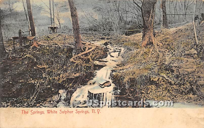 The Springs - White Sulphur Springs, New York NY Postcard
