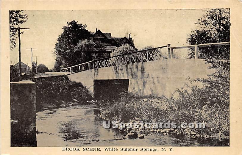 Brook Scene - White Sulphur Springs, New York NY Postcard