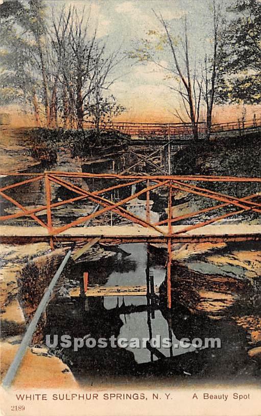 Bridge - White Sulphur Springs, New York NY Postcard