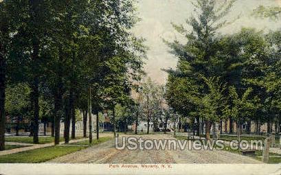 Park Ave. - Waverly, New York NY Postcard