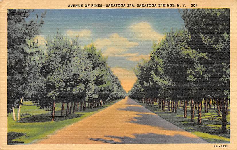 Saratoga Springs NY