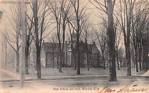 High School & Park Waverly, New York Postcard