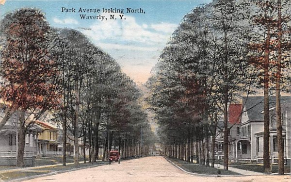 Park Avenue Waverly, New York Postcard