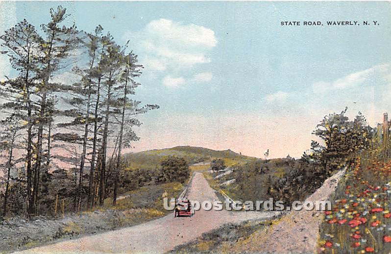 State Road - Waverly, New York NY Postcard