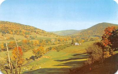 Catskill Mountains Walton, New York Postcard