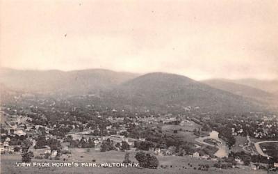 From Moore's Park Walton, New York Postcard