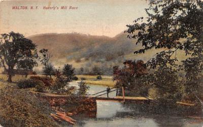 Haverly's Mill Race Walton, New York Postcard