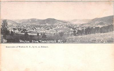 From Townsend's Mountain Walton, New York Postcard