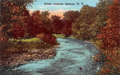 Water View White Sulphur Springs, New York Postcard