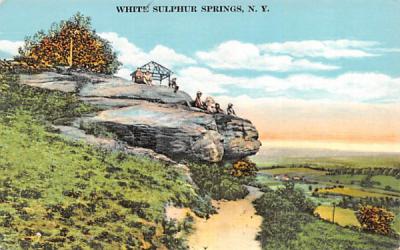 Big Rock White Sulphur Springs, New York Postcard