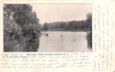The Lake White Sulphur Springs, New York Postcard