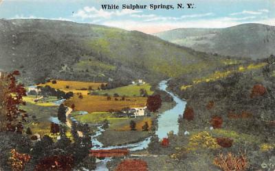 Bird's Eye View White Sulphur Springs, New York Postcard